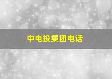 中电投集团电话