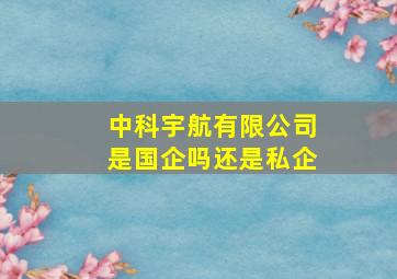 中科宇航有限公司是国企吗还是私企