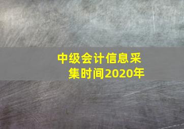 中级会计信息采集时间2020年