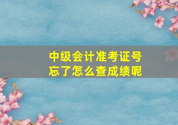 中级会计准考证号忘了怎么查成绩呢