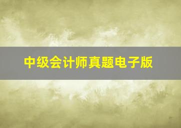 中级会计师真题电子版