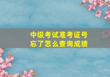 中级考试准考证号忘了怎么查询成绩