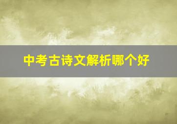 中考古诗文解析哪个好