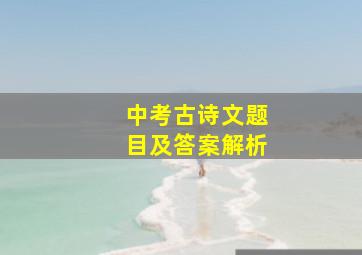 中考古诗文题目及答案解析