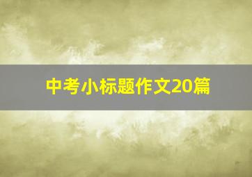 中考小标题作文20篇