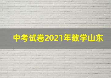 中考试卷2021年数学山东