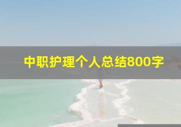 中职护理个人总结800字