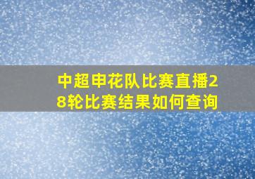 中超申花队比赛直播28轮比赛结果如何查询