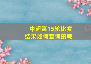 中超第15轮比赛结果如何查询的呢