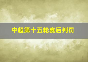 中超第十五轮赛后判罚