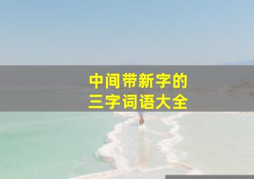 中间带新字的三字词语大全