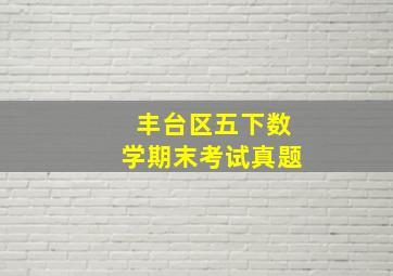 丰台区五下数学期末考试真题