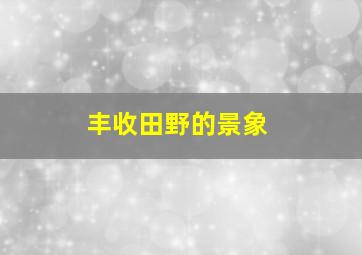 丰收田野的景象