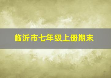 临沂市七年级上册期末