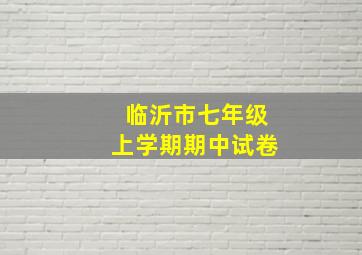 临沂市七年级上学期期中试卷