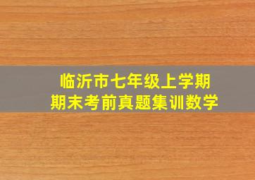 临沂市七年级上学期期末考前真题集训数学