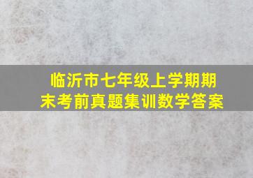 临沂市七年级上学期期末考前真题集训数学答案