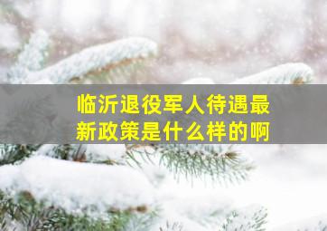 临沂退役军人待遇最新政策是什么样的啊