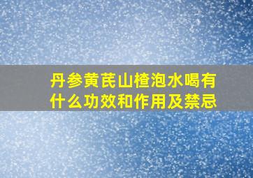 丹参黄芪山楂泡水喝有什么功效和作用及禁忌