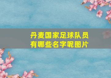 丹麦国家足球队员有哪些名字呢图片