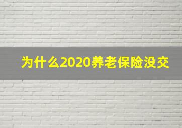 为什么2020养老保险没交