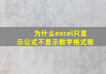 为什么excel只显示公式不显示数字格式呢