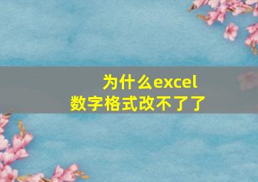 为什么excel数字格式改不了了