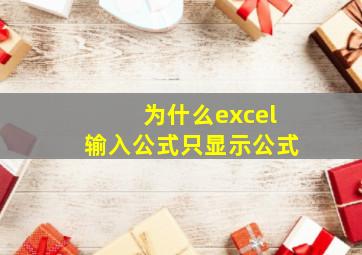 为什么excel输入公式只显示公式