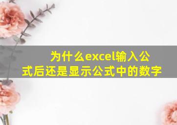 为什么excel输入公式后还是显示公式中的数字