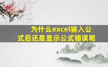 为什么excel输入公式后还是显示公式错误呢