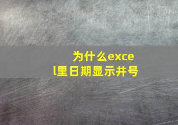 为什么excel里日期显示井号