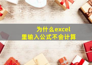 为什么excel里输入公式不会计算