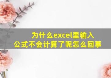 为什么excel里输入公式不会计算了呢怎么回事