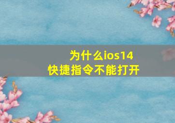 为什么ios14快捷指令不能打开