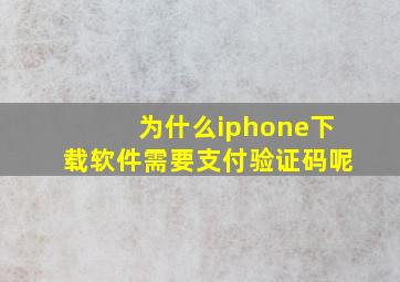 为什么iphone下载软件需要支付验证码呢