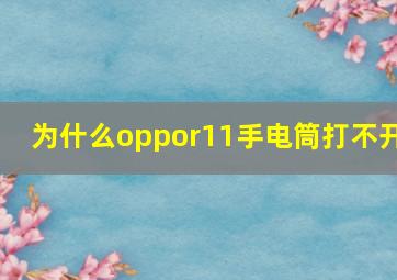 为什么oppor11手电筒打不开