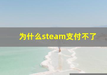 为什么steam支付不了