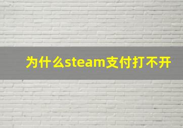 为什么steam支付打不开