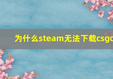 为什么steam无法下载csgo