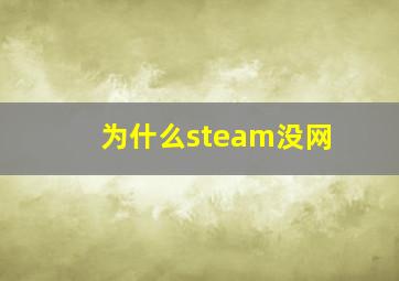 为什么steam没网