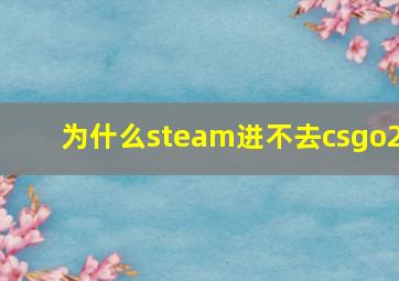 为什么steam进不去csgo2