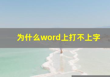 为什么word上打不上字