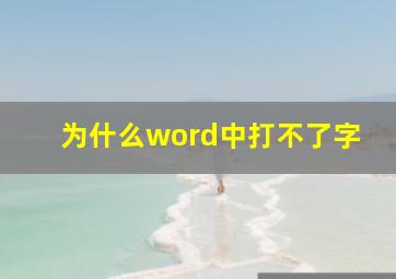 为什么word中打不了字