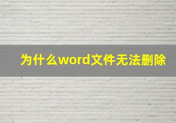 为什么word文件无法删除