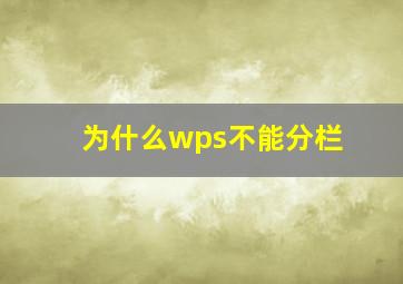 为什么wps不能分栏