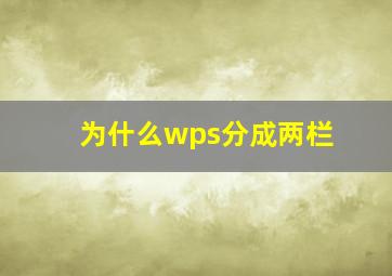 为什么wps分成两栏