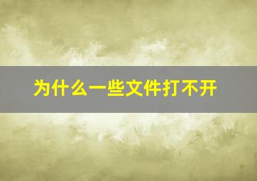 为什么一些文件打不开