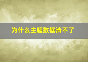 为什么主题数据清不了