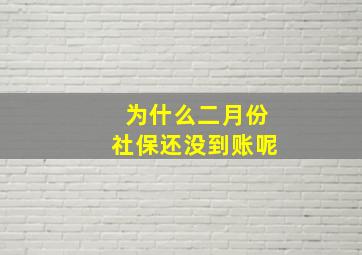 为什么二月份社保还没到账呢