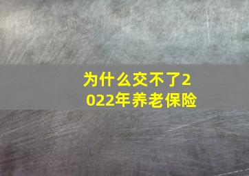 为什么交不了2022年养老保险